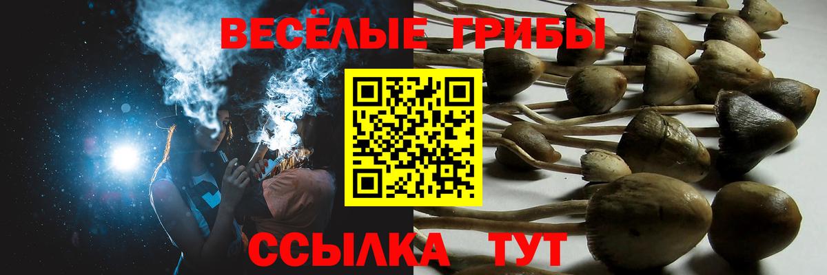 Псилоцибиновые грибы GOLDEN TEACHER  Псилоцибиновые грибы Magic Shrooms  Железноводск  Вход с VPN 